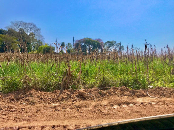 Imagem Terreno em Condomínio à Venda, 1.000 m² em Centro - Alfredo Marcondes