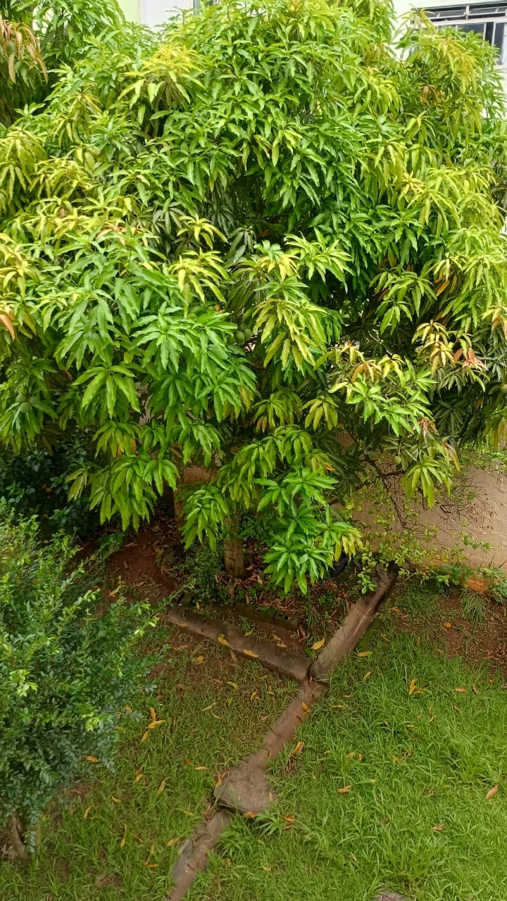 Foto do imóvel: Apartamento com 3 Quartos à Venda, 56 m² em Conjunto Residencial José Bonifácio - São Paulo