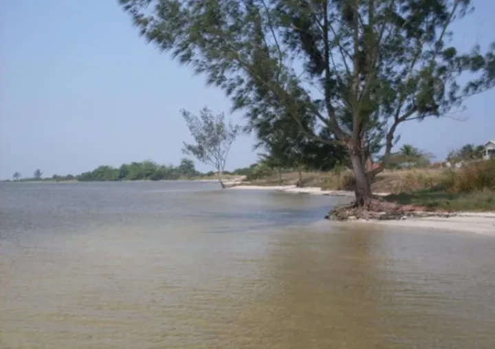 Imagem Terreno à Venda, 8510 metros em Balneário (Praia Seca) - Araruama