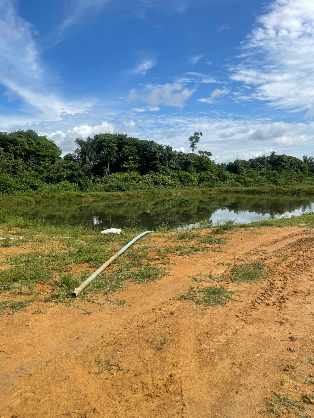 Imagem Terreno à Venda, 210.000 m²em Área Rural de Manacapuru - Manacapuru