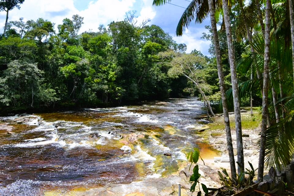 Foto do imóvel: Chácara com 5 Quartos à Venda, 500 m²em centro - Presidente Figueiredo