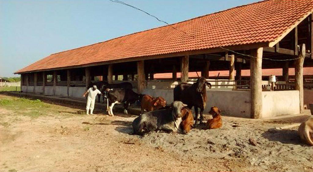 Imagem Terreno em Condomínio à Venda, 420 m²em MOEMA - Santa Izabel do Pará
