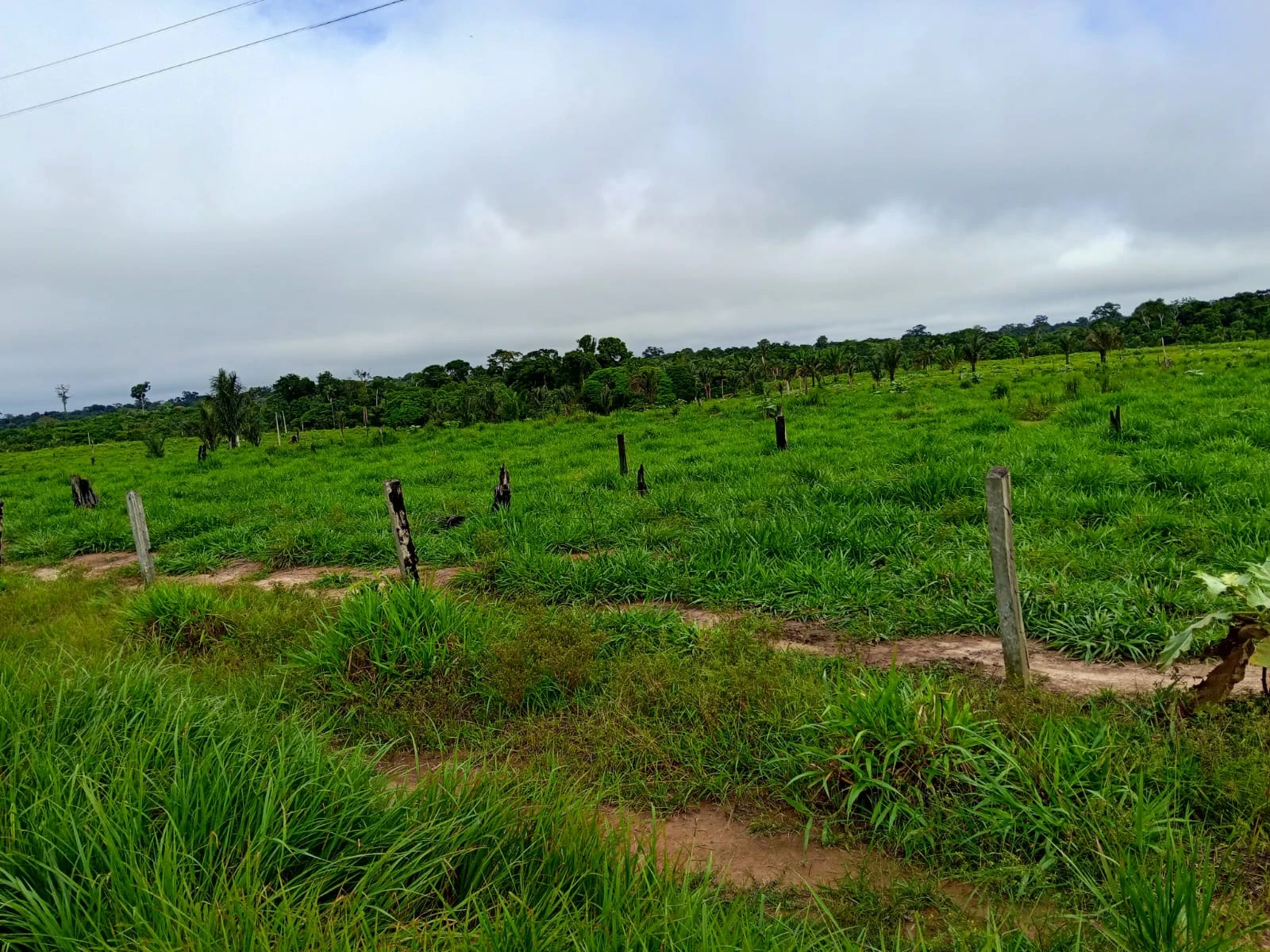 Imagem Fazenda à Venda, 132 m² em Candeias do Jamari - Candeias do Jamari