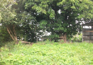 Imagem Terreno à Venda ou Locação, 900 m² em Ayrosa - Osasco