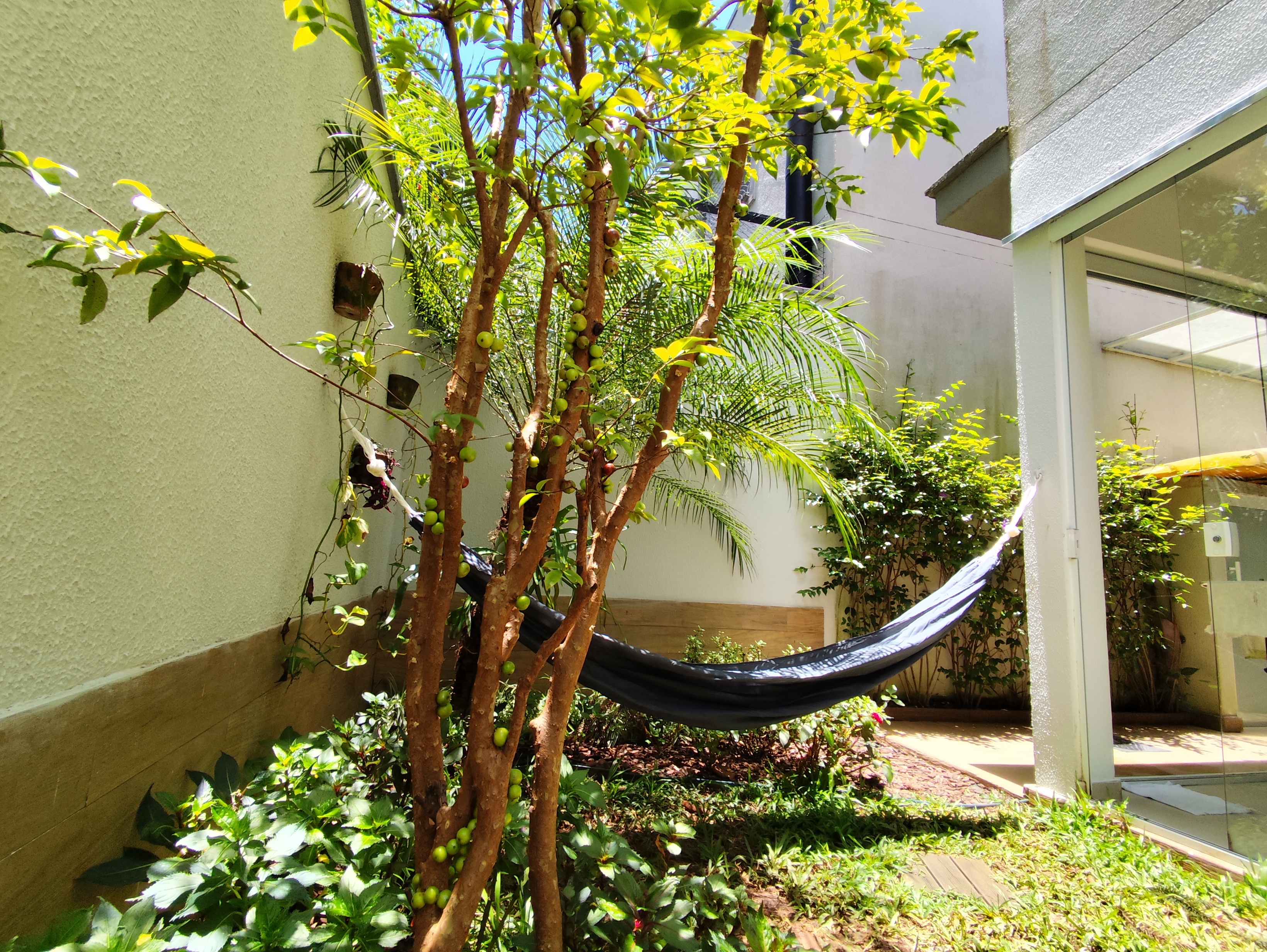 Imagem Casa de Condomínio com 3 Quartos à Venda, 119 m² em Chácara Pavoeiro - Cotia