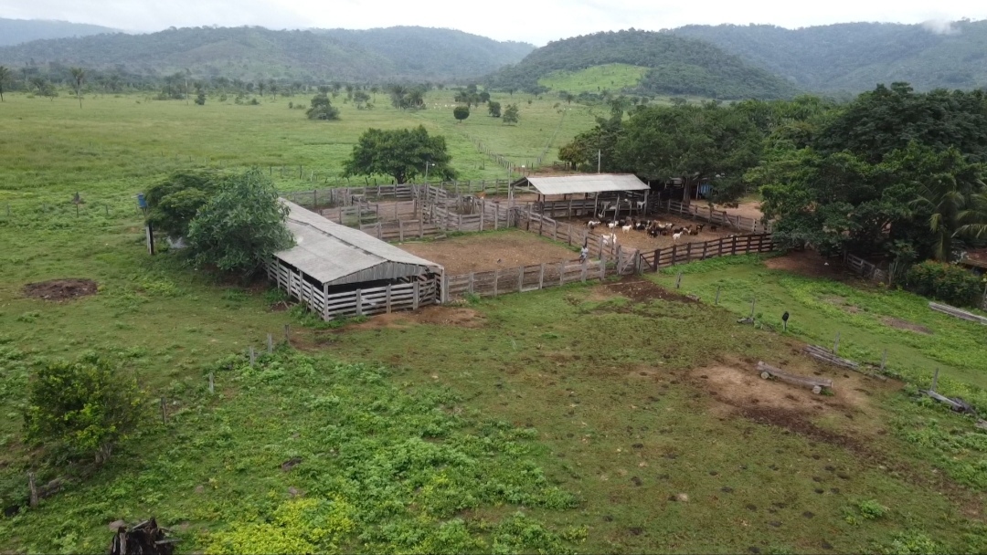 Foto do imóvel: Fazenda à Venda, 90 m²em Centro - São Félix do Xingu