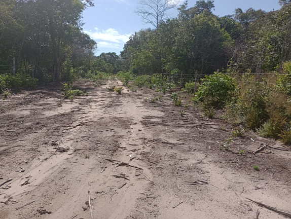 Terreno à Venda, 44.200 m² em Centro - Santarém