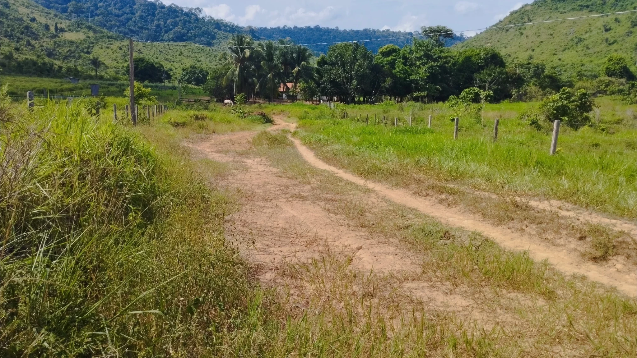Foto do imóvel: Fazenda à Venda, 58 Alq. GO em São Félix do Xingu - São Félix do Xingu