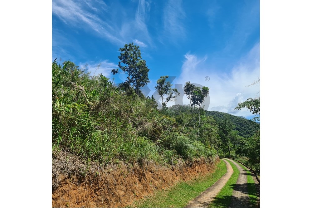 Imagem Terreno à Venda, 5.030 m² em Cuiabá - Petrópolis