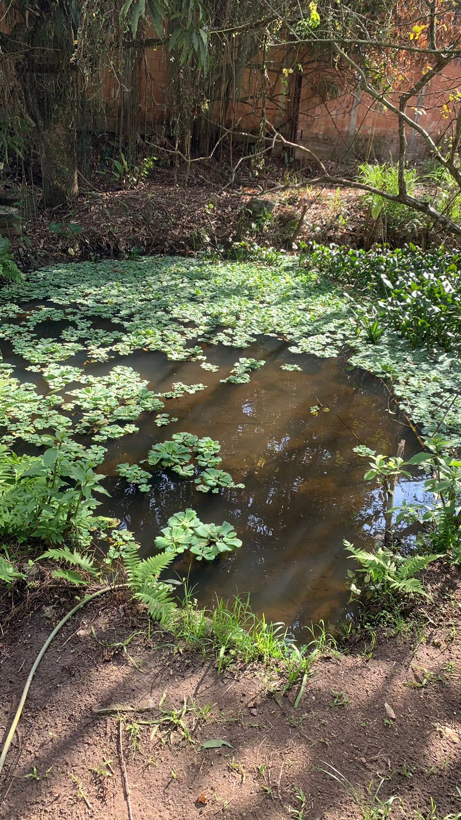 Foto do imóvel: Terreno à Venda, 17.850 m² em Realengo - Rio de Janeiro