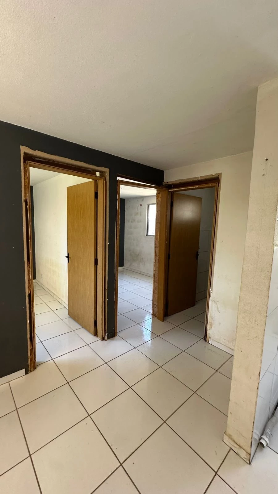 Imagem Apartamento com 2 Quartos à Venda, 47 m² em Santo Afonso - Novo Hamburgo