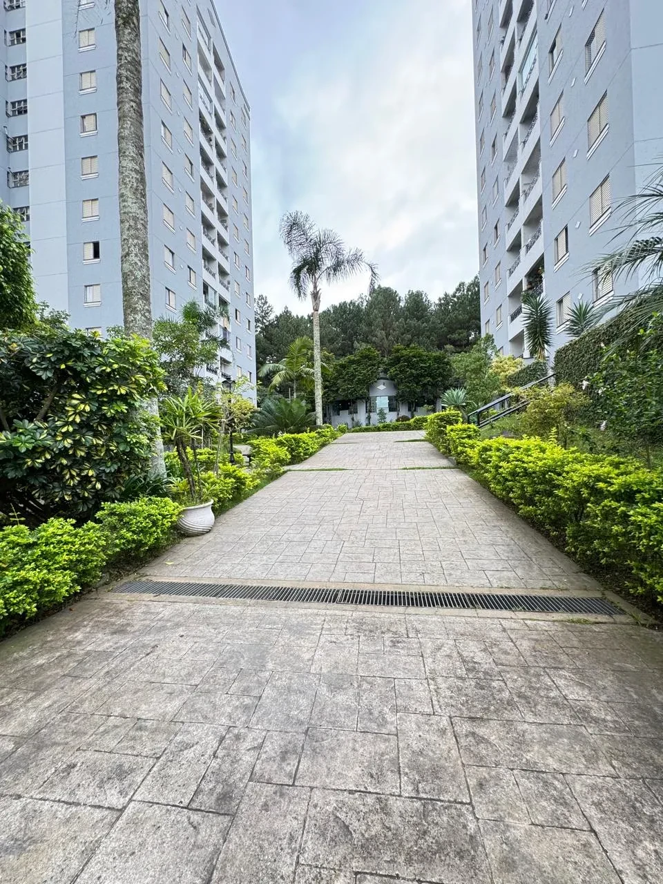 Imagem Apartamento com 3 Quartos à Venda, 65 m² em Baeta Neves - São Bernardo do Campo