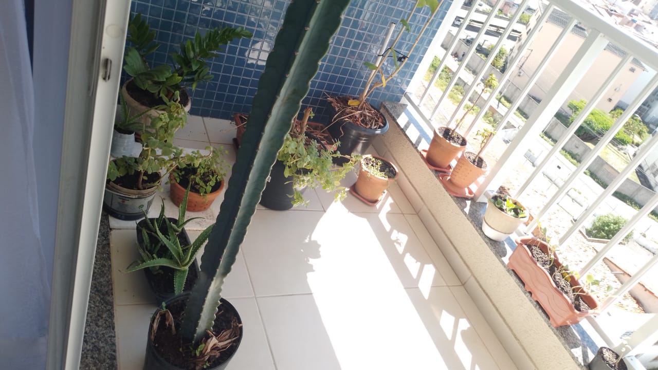 Imagem Apartamento com 3 Quartos à Venda, 70 m²em Farolândia - Aracaju