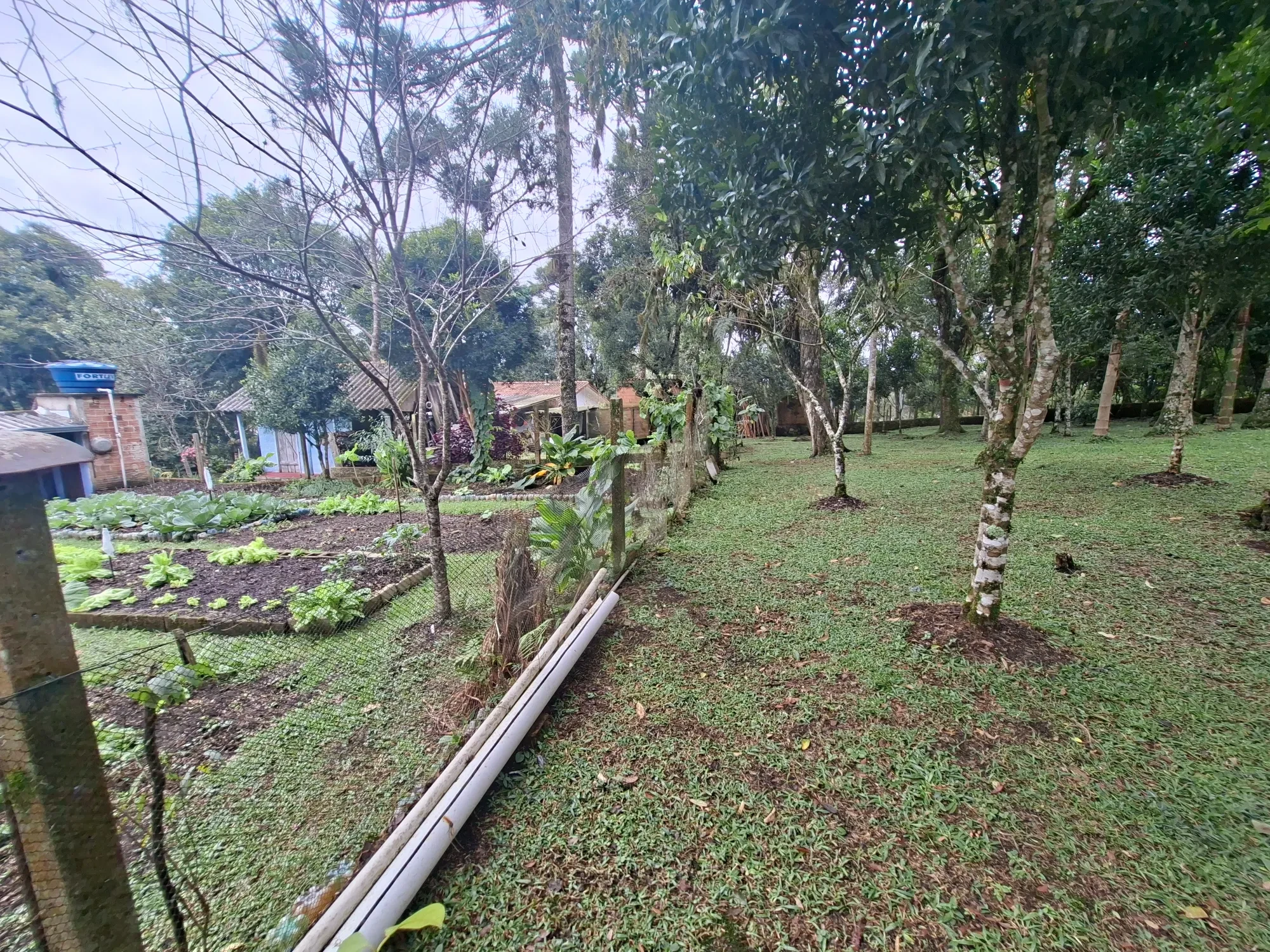 Imagem Chácara com 2 Quartos à Venda, 80 m² em Campo Alto - Tijucas do Sul