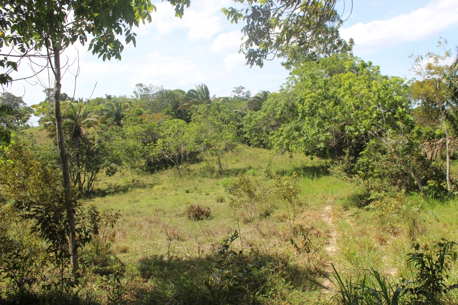 Foto do imóvel: Chácara com 2 Quartos à Venda, 20100 m² em Mata de São João - Mata de São João