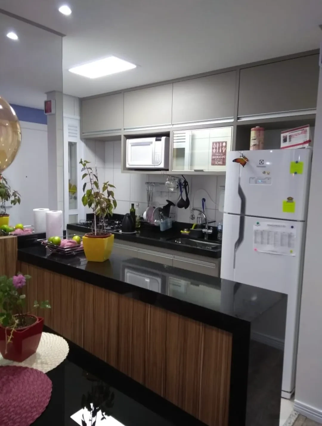 Imagem Apartamento com 2 Quartos à Venda, 57 m² em Vila Pereira Barreto - São Paulo