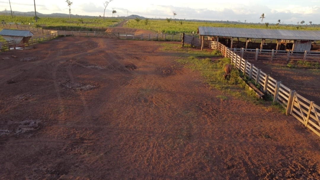 Foto do imóvel: Fazenda à Venda, 430 m² em Centro  - São Félix do Xingu