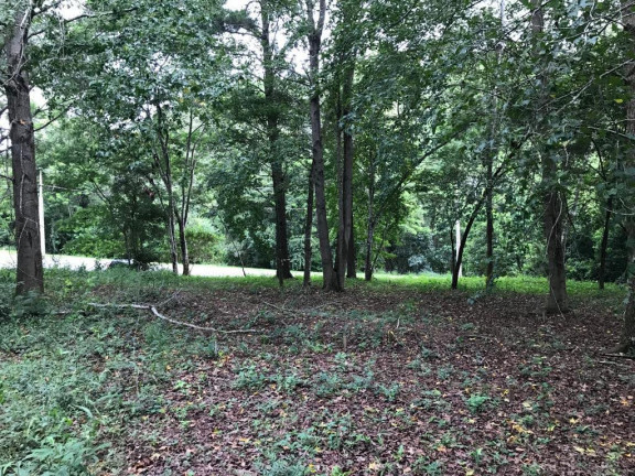 Imagem Terreno em Condomínio à Venda, 1.212 m² em Caxambu - Jundiaí