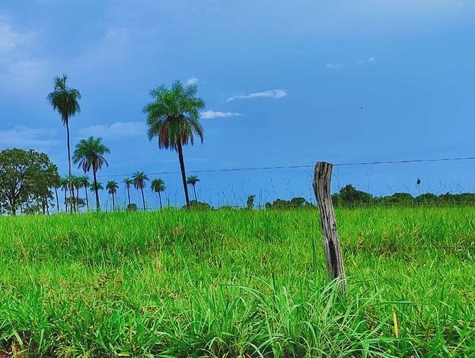 Imagem Fazenda à Venda, 1115 m² em ZONA RURAL - Mundo Novo