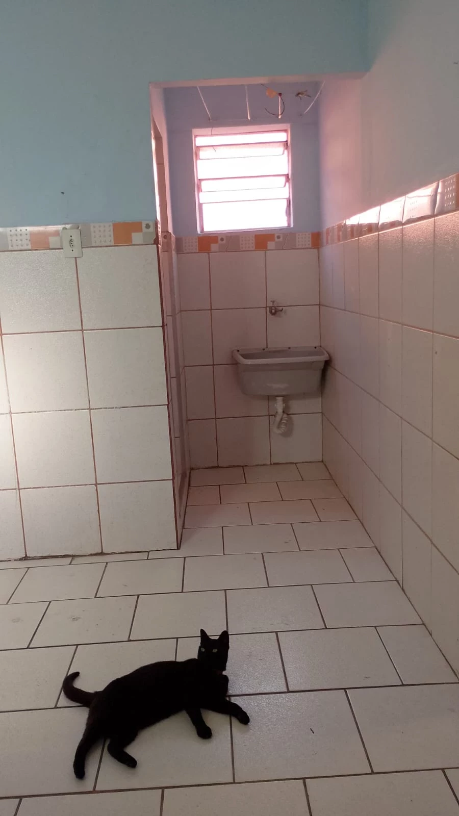 Imagem Casa com 1 Quarto para Alugar, 30 m² em Vila Califórnia - São Paulo