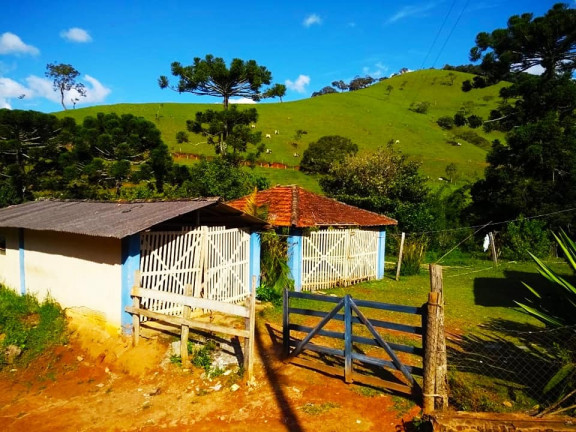 Imagem Chácara com 3 Quartos à Venda, 23.200 m² em Rio Lourenço Velho  - Delfim Moreira