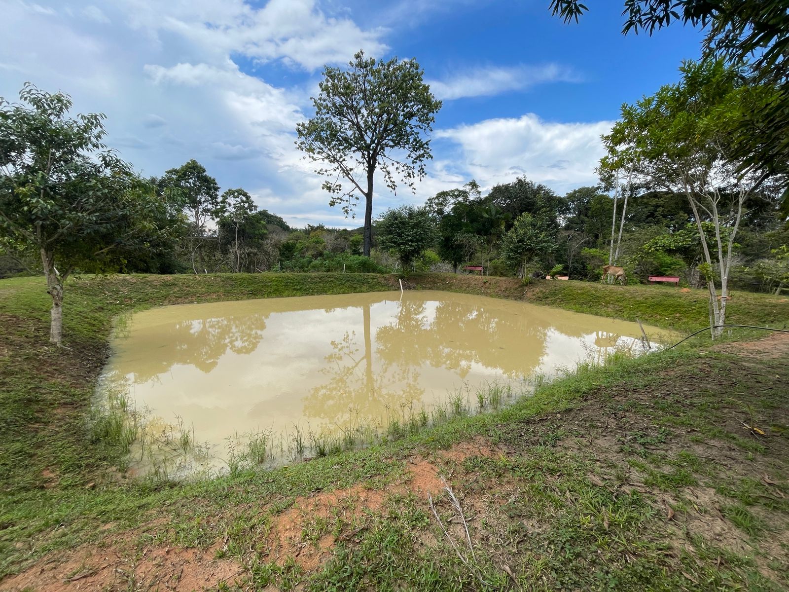 Imagem Chácara com 3 Quartos à Venda ou Temporada, 9.000 m²em Lago do Limão - Iranduba