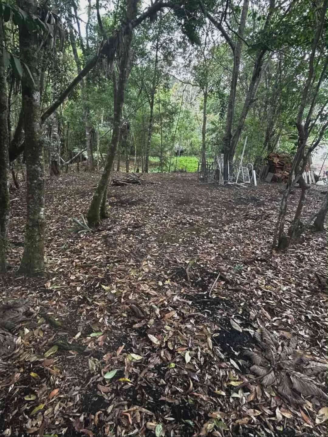 Imagem Chácara com 3 Quartos à Venda, 180 m² em Colinas - Poços de Caldas
