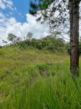 Imagem Terreno à Venda, 1.000 m² em Paruru - Ibiúna