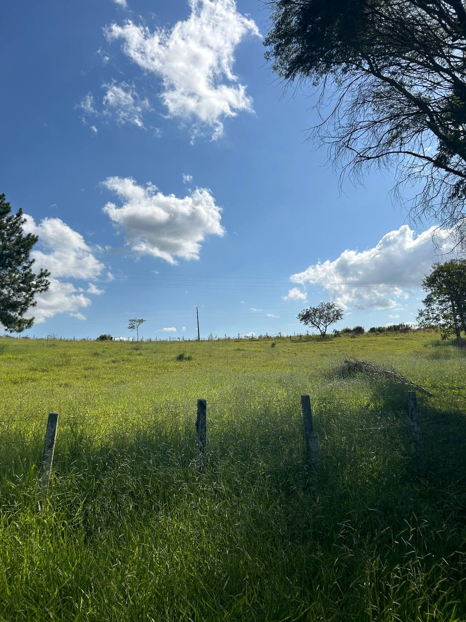 Imagem Terreno em Condomínio à Venda ou Locação, 500 m²em recreio verava - Ibiúna