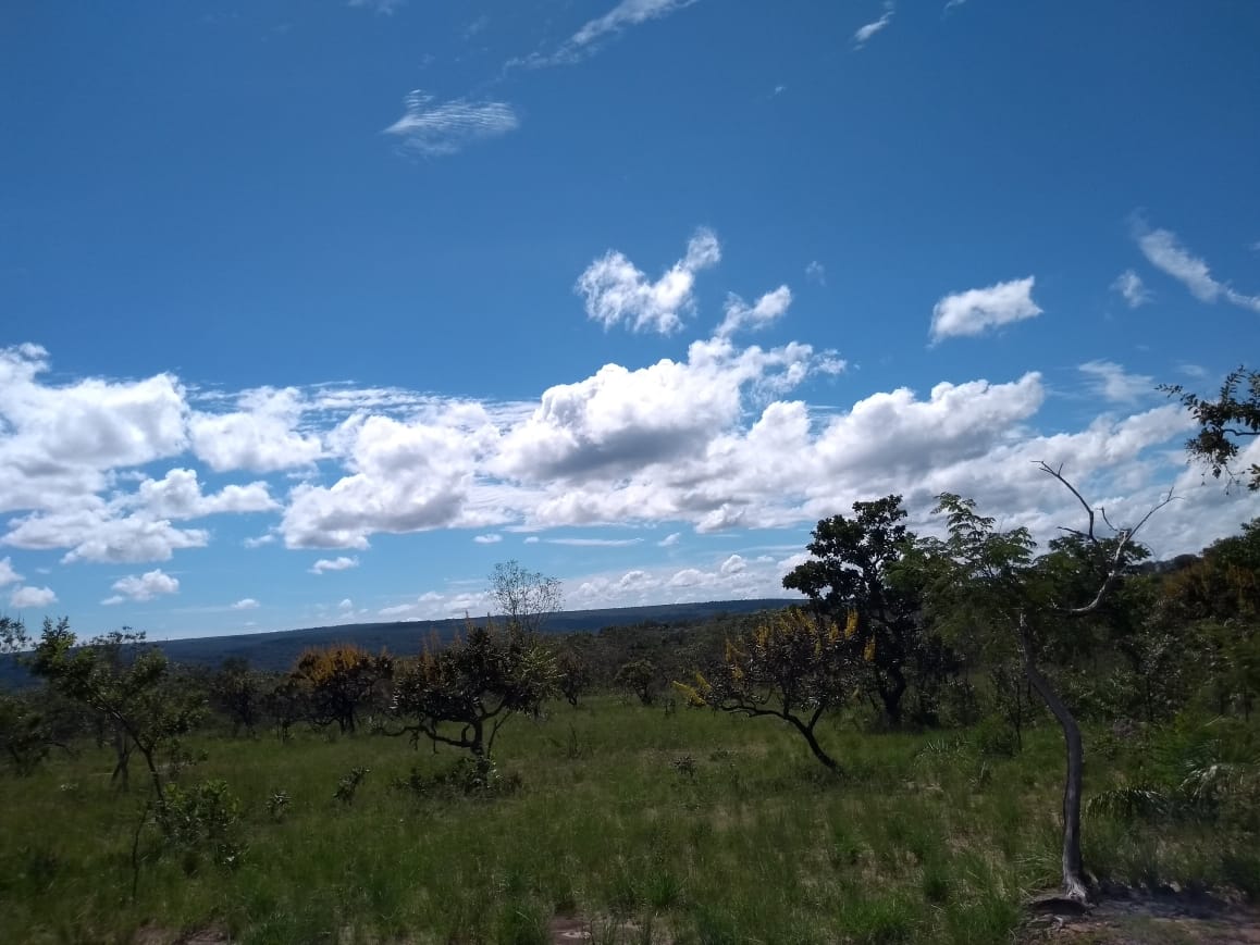 Imagem Fazenda à Venda, 64 Alq. GO em Zona Rural - Ribeirãozinho