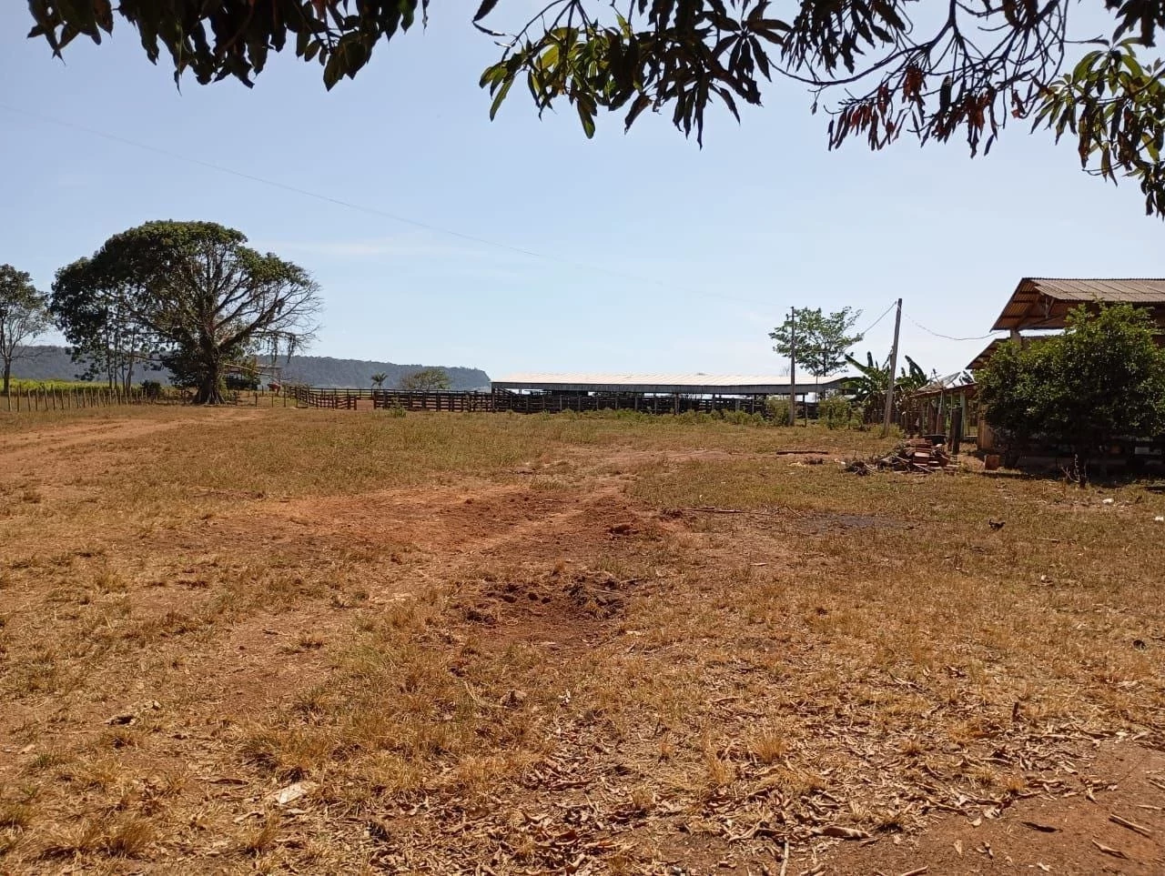 Foto do imóvel: Fazenda à Venda, 831 Alq. GO em Gurupá - Gurupá