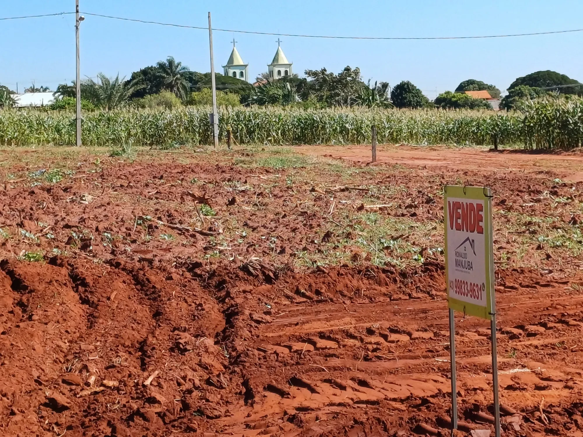 Imagem Chácara à Venda, 4000 m² em Pitangueiras - Pitangueiras