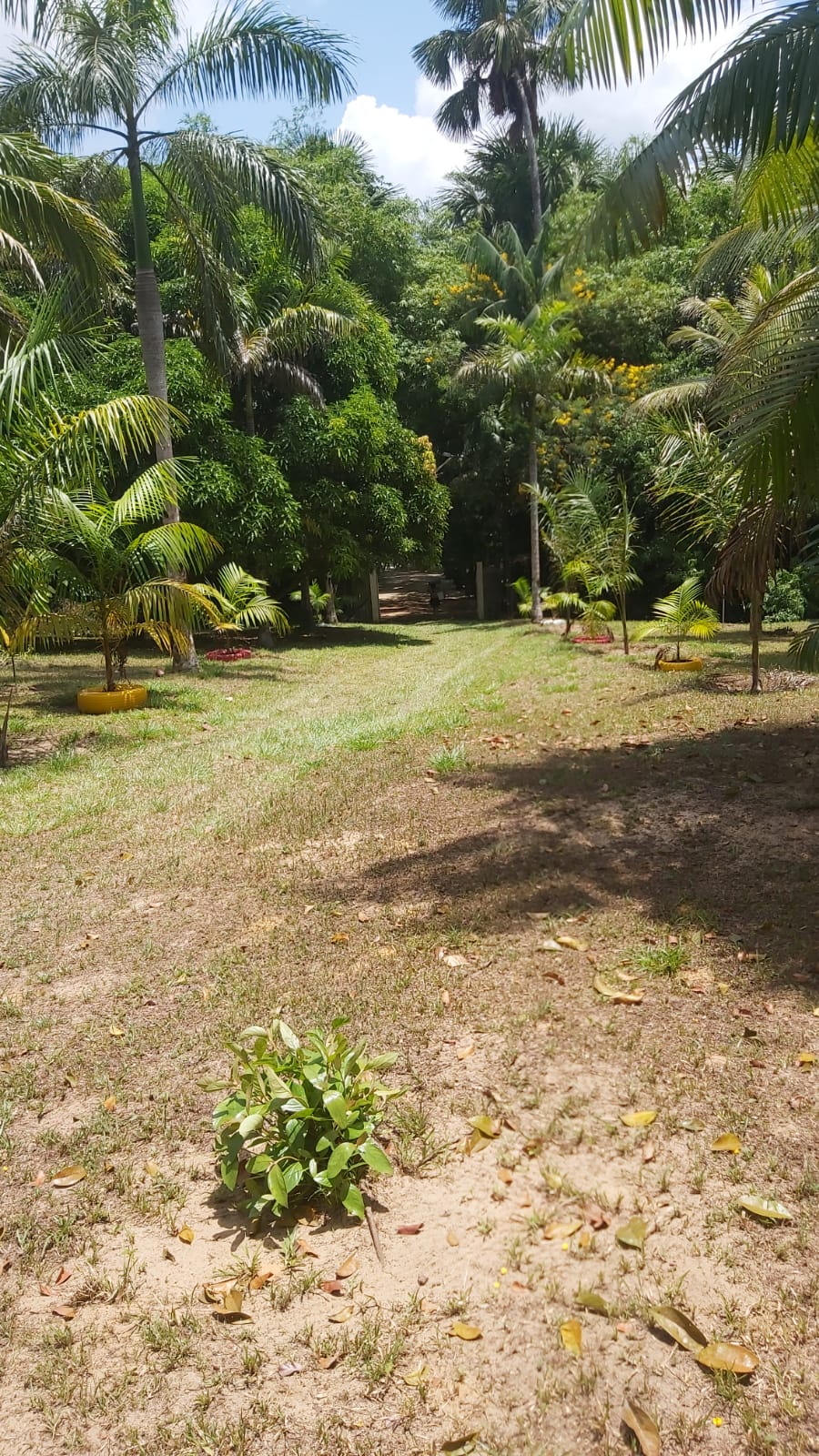 Imagem Chácara com 2 Quartos à Venda, 47 m²em Zona Rural - Santa Maria do Pará