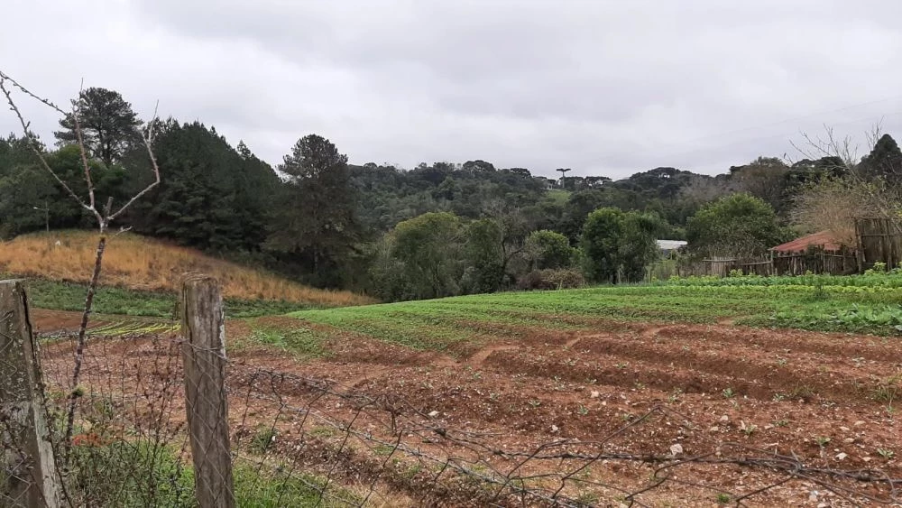 Foto do imóvel: Terreno à Venda, 1.418 m² em Pilarzinho - Curitiba
