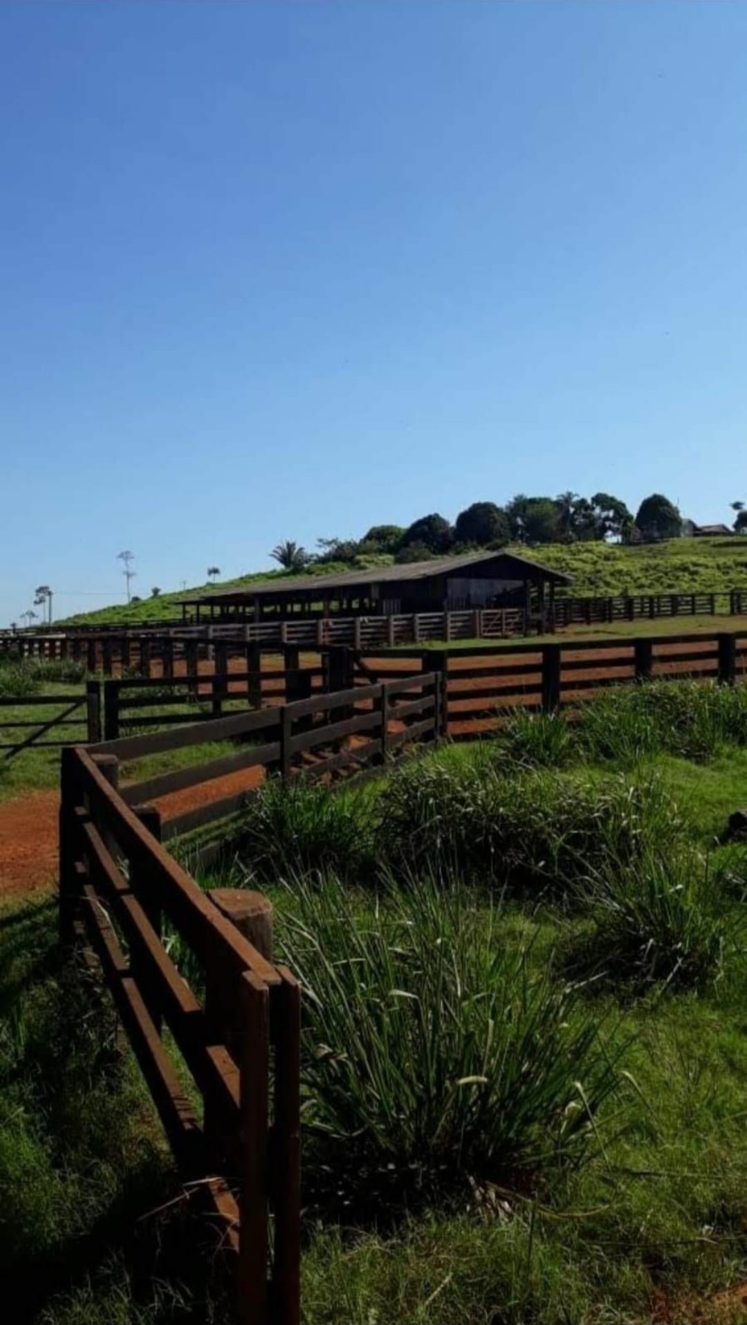 Foto do imóvel: Fazenda à Venda, 9.399 m² em Centro  - São Félix do Xingu
