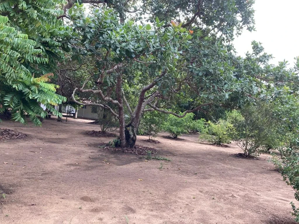 Imagem Imóvel com 3 Quartos à Venda, 17424 metros em Cachoeira - Cachoeira