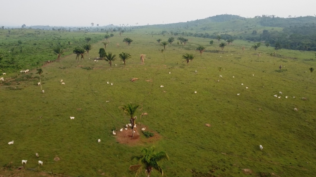 Foto do imóvel: Fazenda à Venda, 1 m²em Centro  - São Félix do Xingu