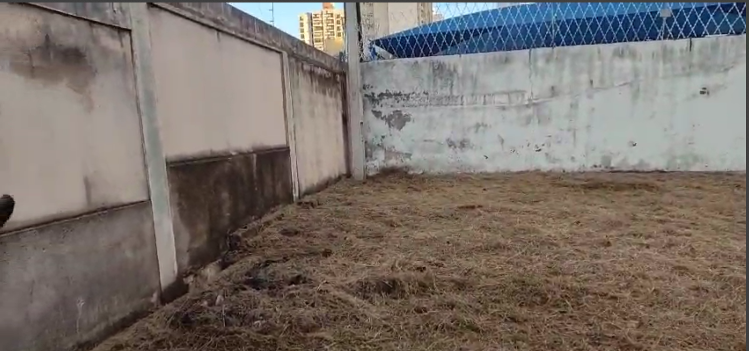Imagem Terreno à Venda, 1 m²em Bosque - Campinas