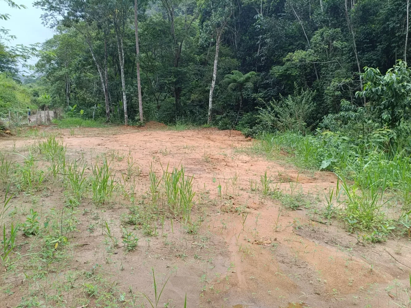 Imagem Chácara à Venda, 20000 metros em Santa Leopoldina - Santa Leopoldina