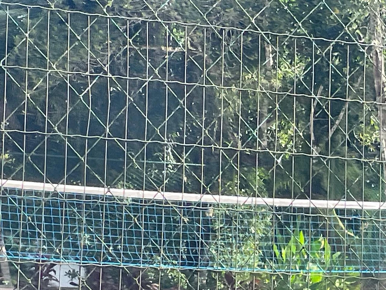 Imagem Casa com 2 Quartos à Venda, 72.500 m² em Aldeia dos Camarás - Camaragibe
