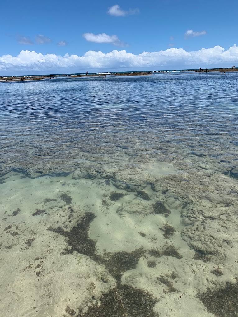 Foto do imóvel: Flat com 2 Quartos à Venda, 56 m² em Cupe - Ipojuca