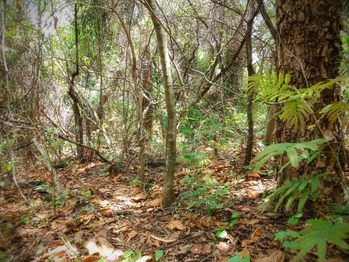 Foto do imóvel: Terreno à Venda, 2.000 m² em Recanto da Aldeia - Brumadinho