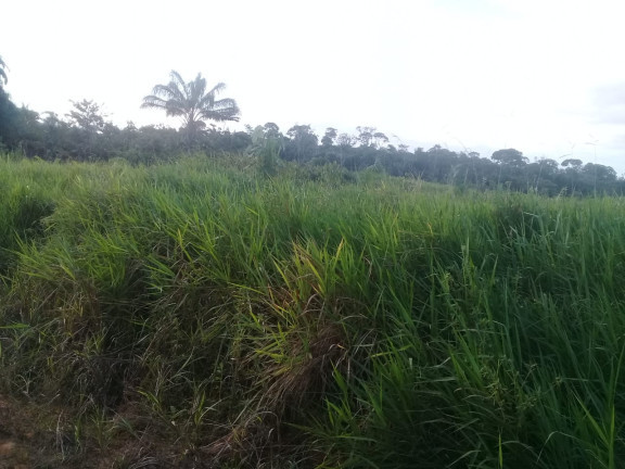Imagem Terreno à Venda,  em Zona Rural - Humaitá