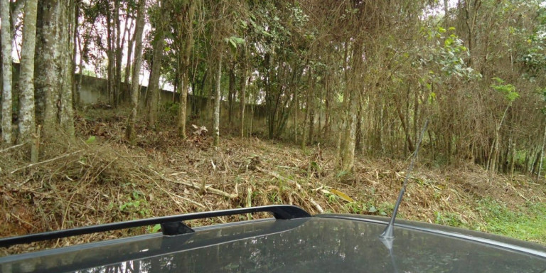 Imagem Terreno à Venda, 1.960 m² em Centro - Santa Isabel