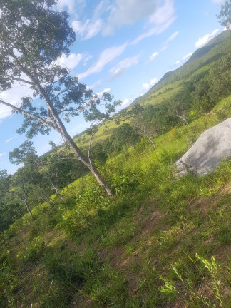 Imagem Fazenda à Venda,  em Área Rural - Padre Bernardo