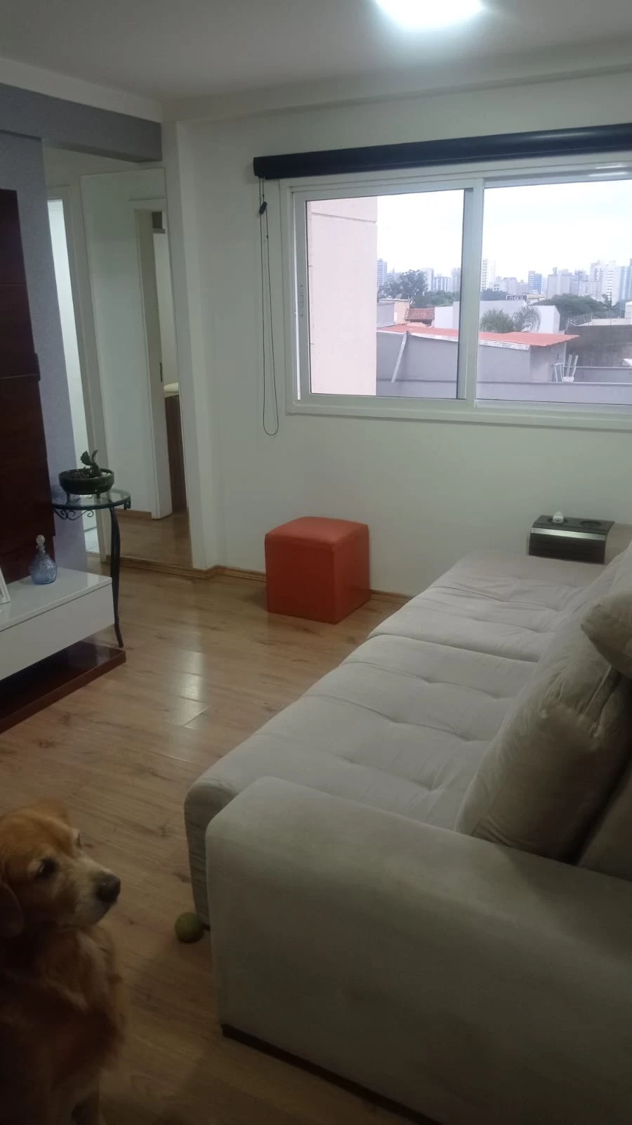 Imagem Apartamento com 2 Quartos à Venda, 65 m² em Vila Valparaíso - Santo André