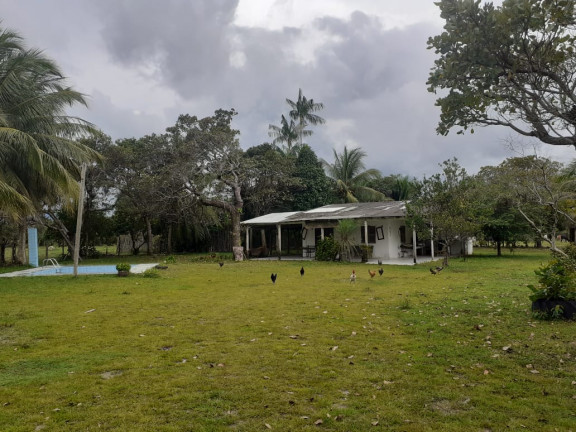 Imagem Fazenda à Venda,  em zona rural - Salvaterra