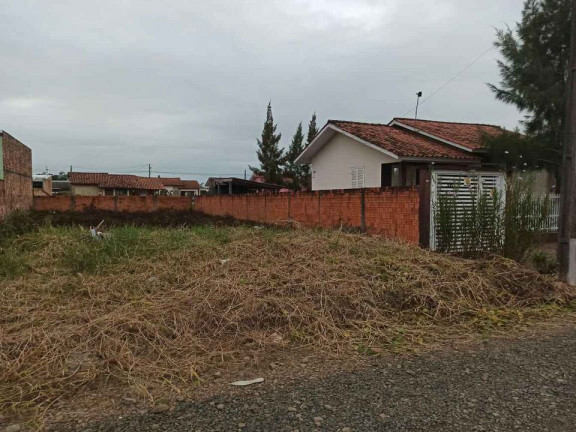 Imagem Terreno à Venda, 348 m² em São Defende - Criciúma