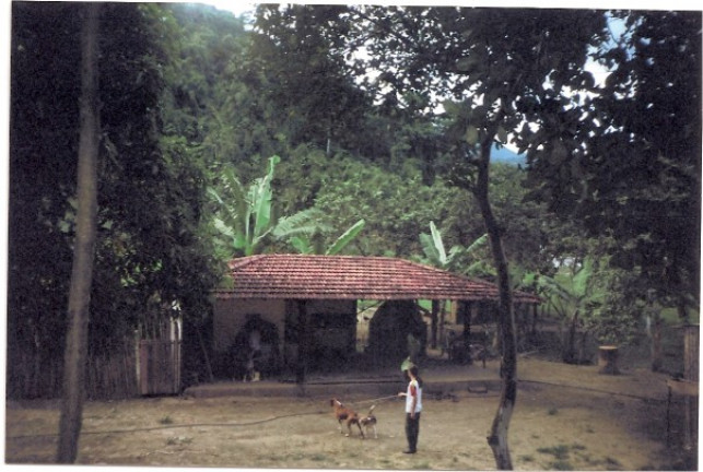 Imagem Terreno à Venda, 726.000 m² em Jardim Mirna - Taboão da Serra