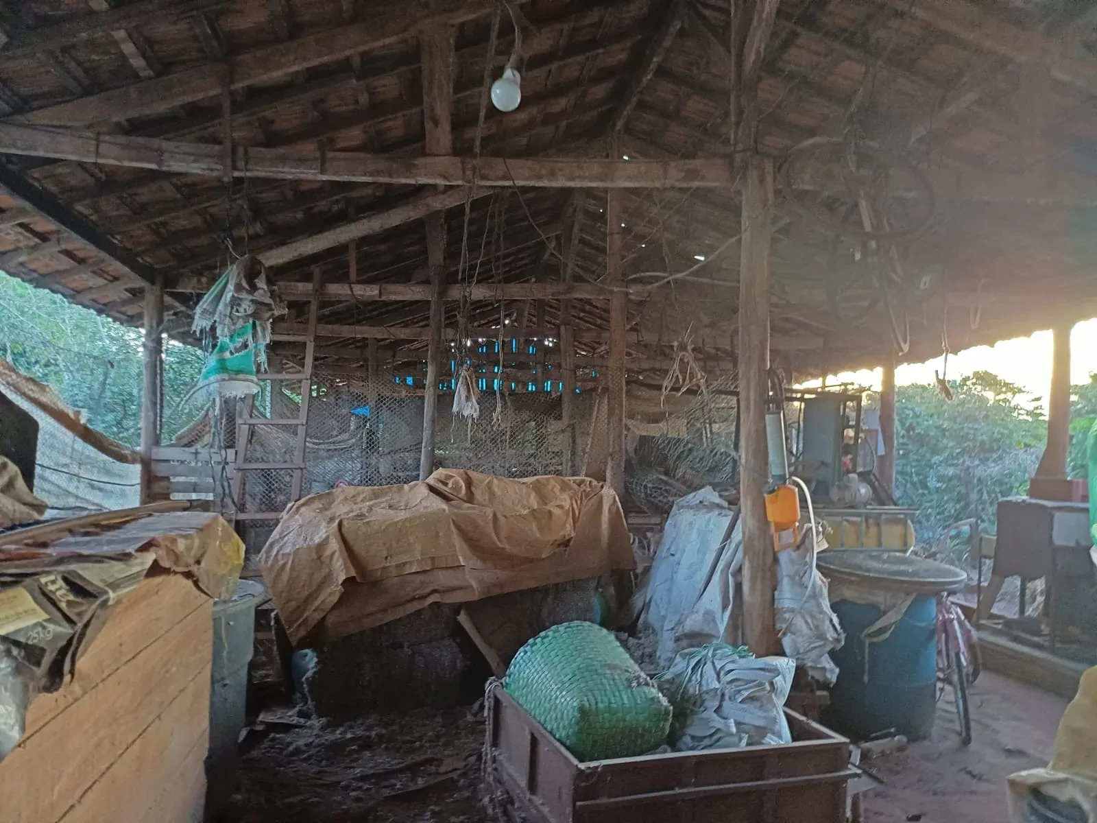Imagem Chácara com 6 Quartos à Venda, 400 m² em Pitangueiras - Pitangueiras